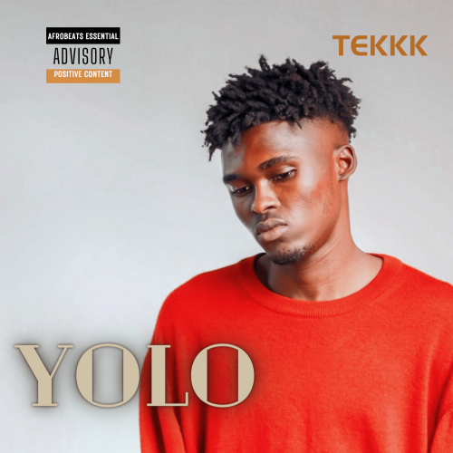 Yolo - Tekkk